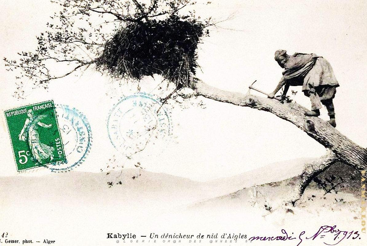 Kabylie - Nid d'Aigles - Denicheur - 1913.jpg